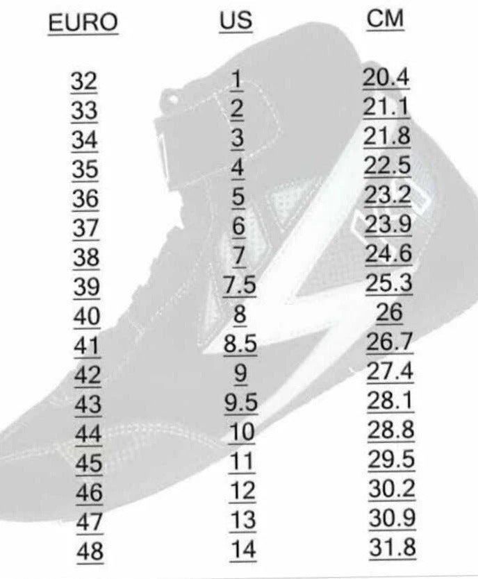 Tony Kanaan Indy 500 2022 Chip Ganassi Racing Shoes